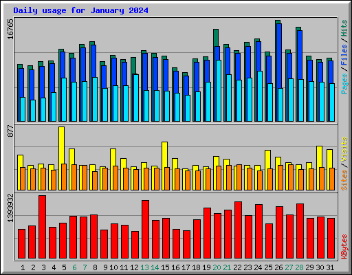 Daily usage for January 2024