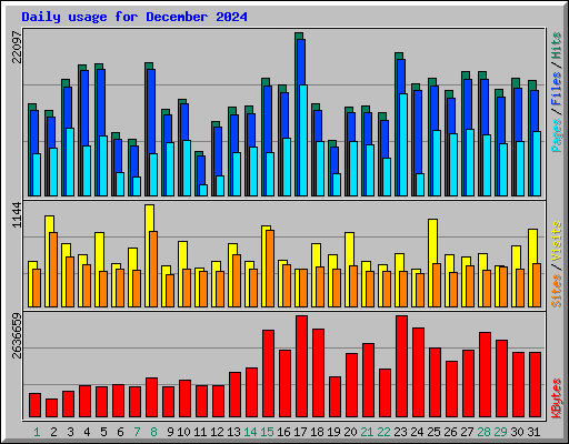 Daily usage for December 2024