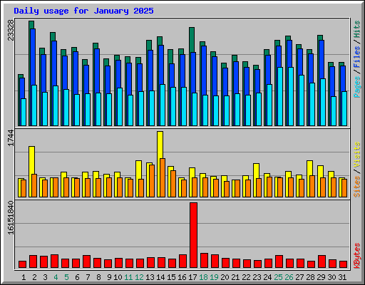 Daily usage for January 2025