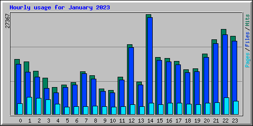 Hourly usage for January 2023