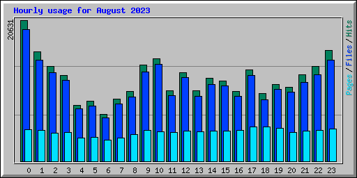 Hourly usage for August 2023