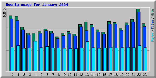 Hourly usage for January 2024