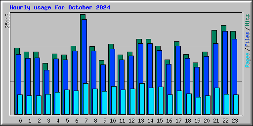 Hourly usage for October 2024