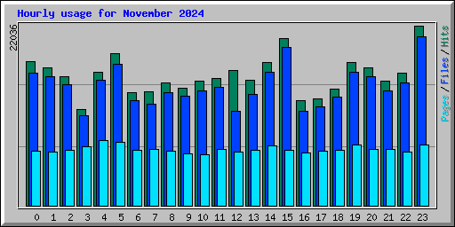 Hourly usage for November 2024