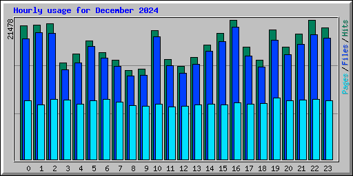 Hourly usage for December 2024