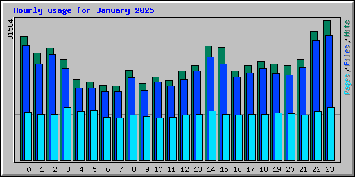 Hourly usage for January 2025