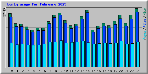 Hourly usage for February 2025