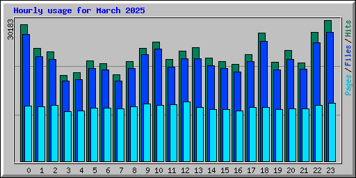 Hourly usage for March 2025