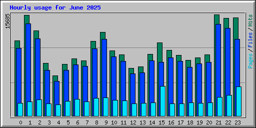 Hourly usage for June 2025